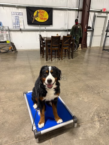 Proven K9 Training Amarillo, Dog Trainers in Amarillo