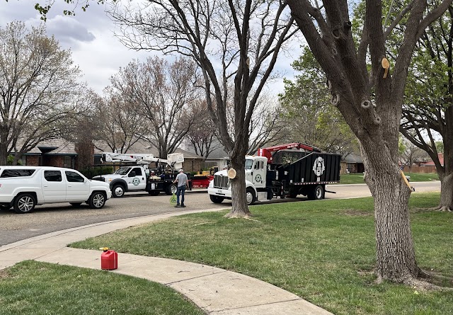 Five Star Tree Service, Tree Trimming in Amarillo