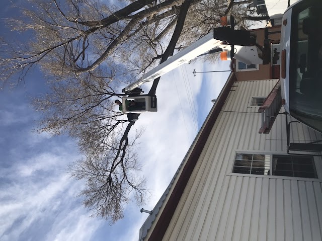Pastwas Tree Service, Tree Trimming in Amarillo