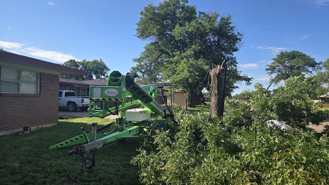 Tope's Tree Trimming & Landscaping, Tree Trimming in Amarillo