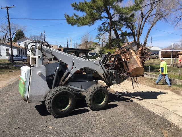 Wright Away Tree Service, Tree Trimming in Amarillo