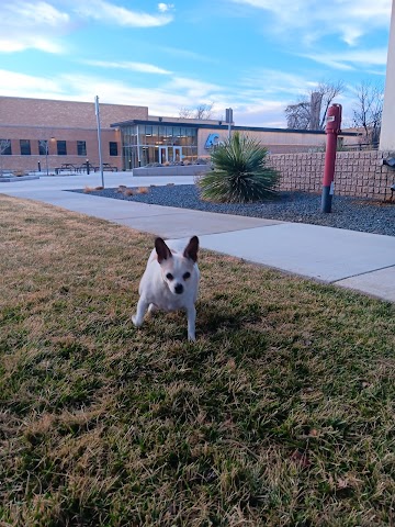 Animal Medical Center, Veterinarians in Amarillo