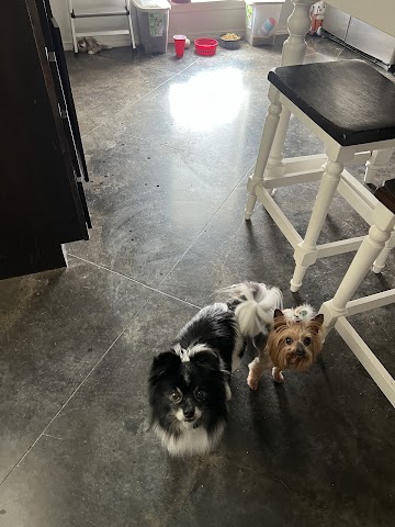 Yarbrough Veterinary Clinic, Veterinarians in Amarillo