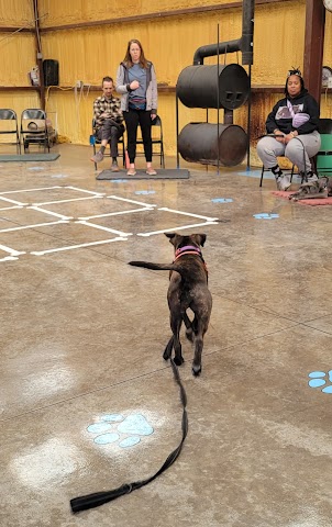 April's K911 Academy, Dog Trainers in Las Cruces
