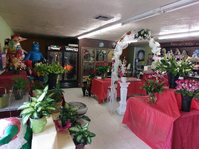 Fiesta Flowers Balloons & Gfts, Florists in Las Cruces