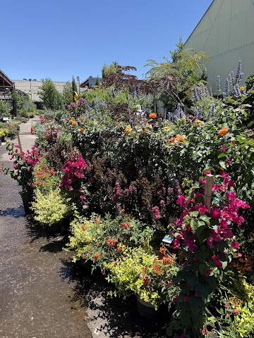 Guzman's Garden Centers, Garden Centers & Nurseries in Las Cruces