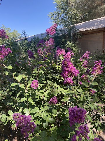 Natura Greenhouse, Garden Centers & Nurseries in Las Cruces