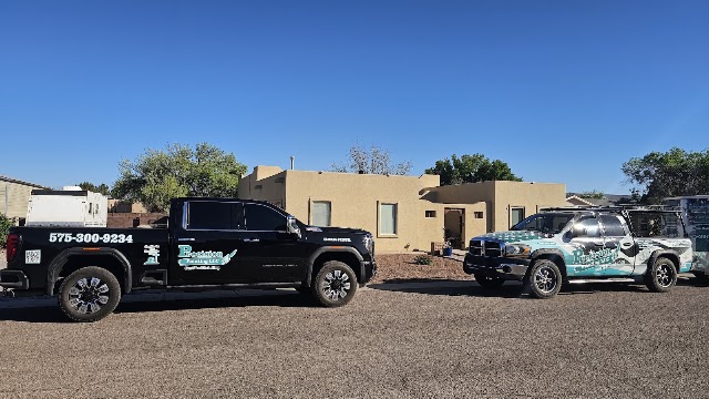 Precision Painting, Painters in Las Cruces