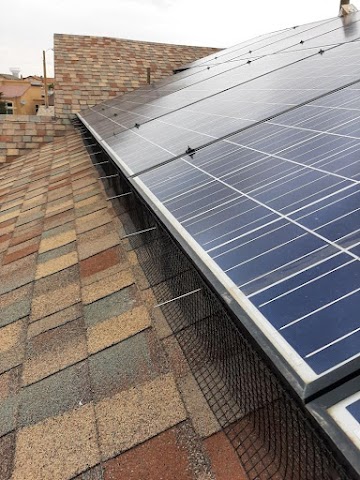 Bug Out, Pest Control in Las Cruces