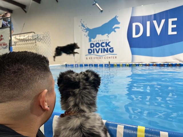 Las Cruces Dock Diving & K9 Event Center, Dog Trainers in Las Cruces