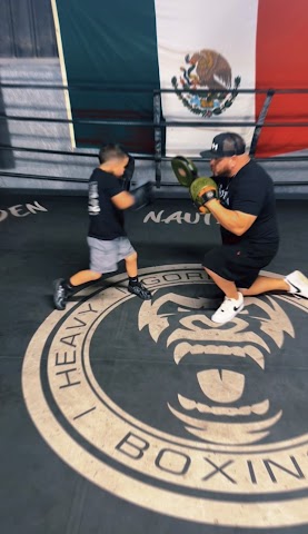 Gorilla Heavy Hitters, Boxing & Kickboxing in Odessa
