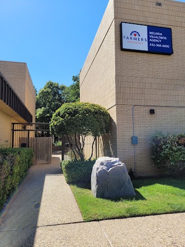 Mindy Villalobos Insurance Agency, Insurance Agencies in Odessa