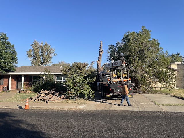 Shades of Green Tree Service & Landscaping, Landscaping in Odessa