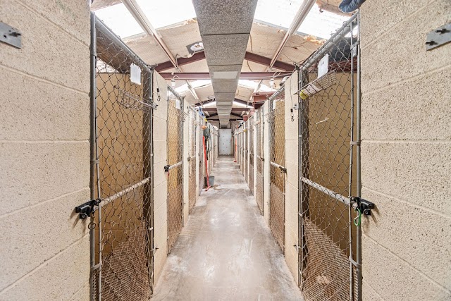 Kozy Country Kennel, Pet Boarding & Daycare in Odessa