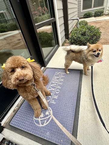 Unleashed Grooming, Pet Groomers in Odessa