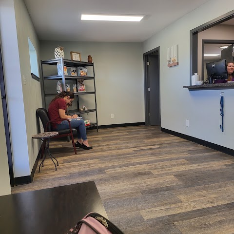 Angel Veterinary Clinic, Veterinarians in Odessa
