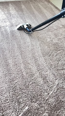 Sam's Mobile Washing and Carpet Cleaning, Carpet Cleaning in Yuma