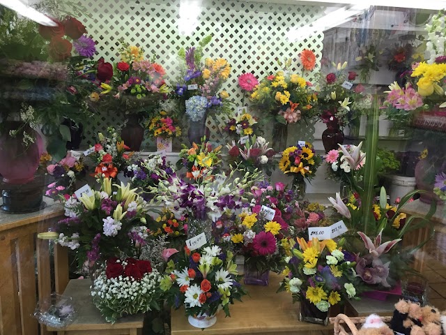 All Seasons Florist, Florists in Yuma