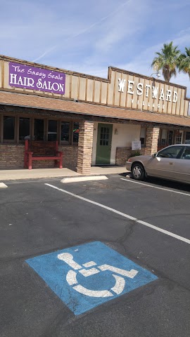 The Sassy Seale Hair Salon, Hair Salons in Yuma