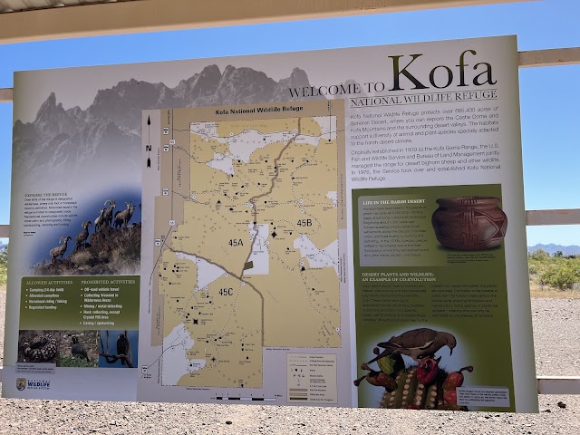 Palm Canyon, Kofa N.W.R., Hiking & Trails in Yuma