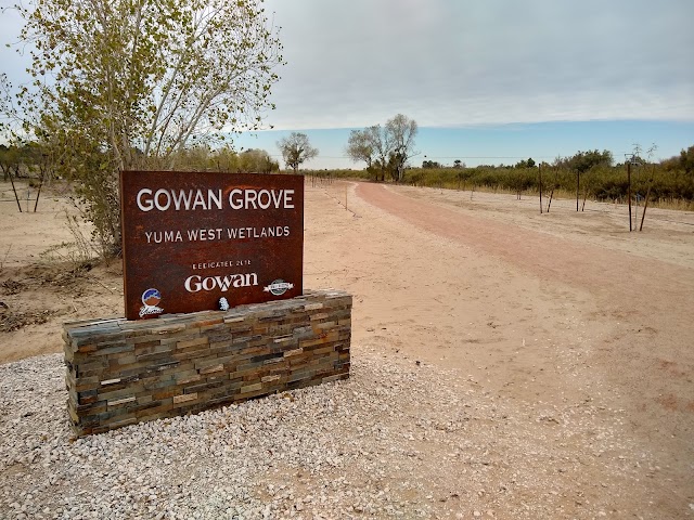 West Wetlands Park, Hiking & Trails in Yuma