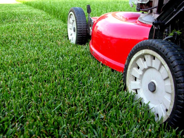 Becker Landscape & Maintenance, Desert Landscaping & Design in Yuma