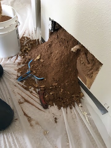 Desert Web Exterminating, Rodent Control in Yuma