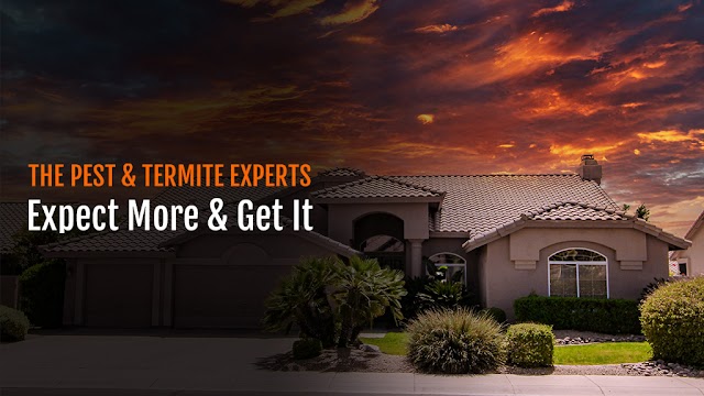 Yuma Pest & Termite Systems, Pest Control in Yuma