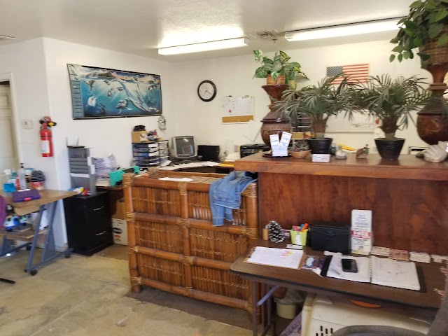 Tammy's Grooming, Pet Groomers in Yuma