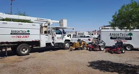 Arbortech Professional Tree & Landscape Services, Tree Trimming & Pruning in Yuma