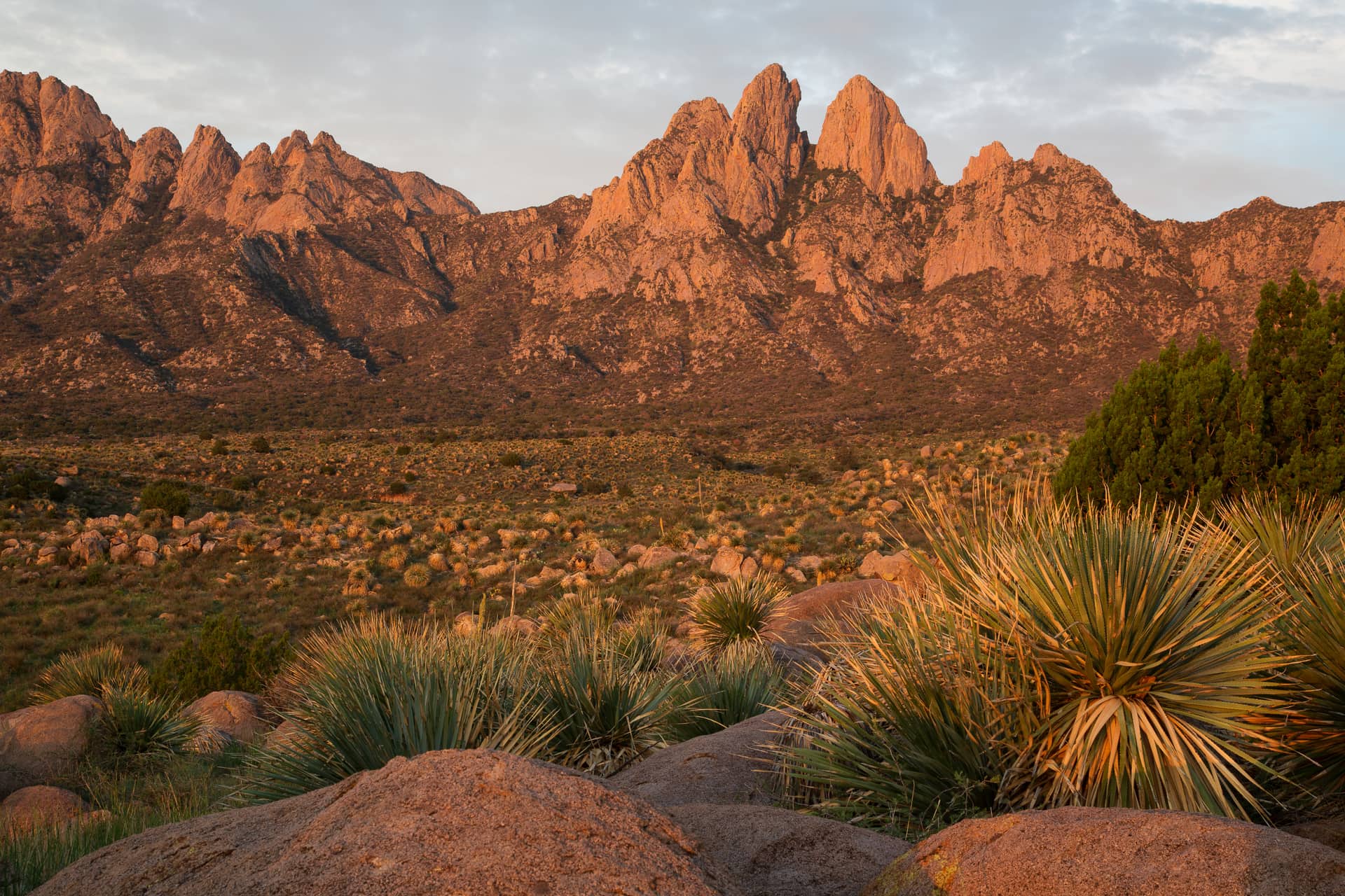 Las Cruces, New Mexico at golden hour