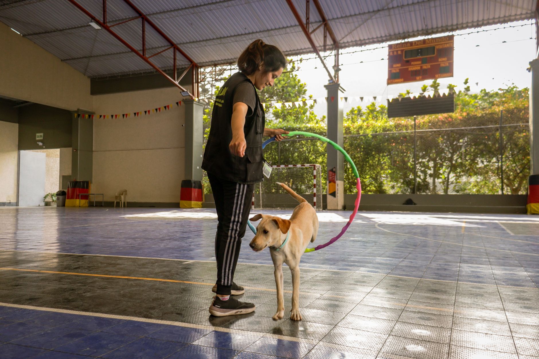Dog Trainers in Amarillo