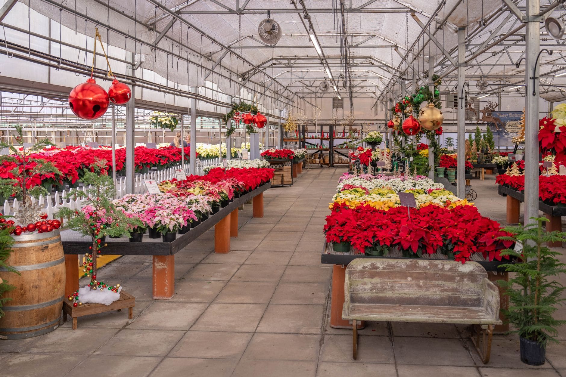 Garden Centers & Nurseries in Las Cruces