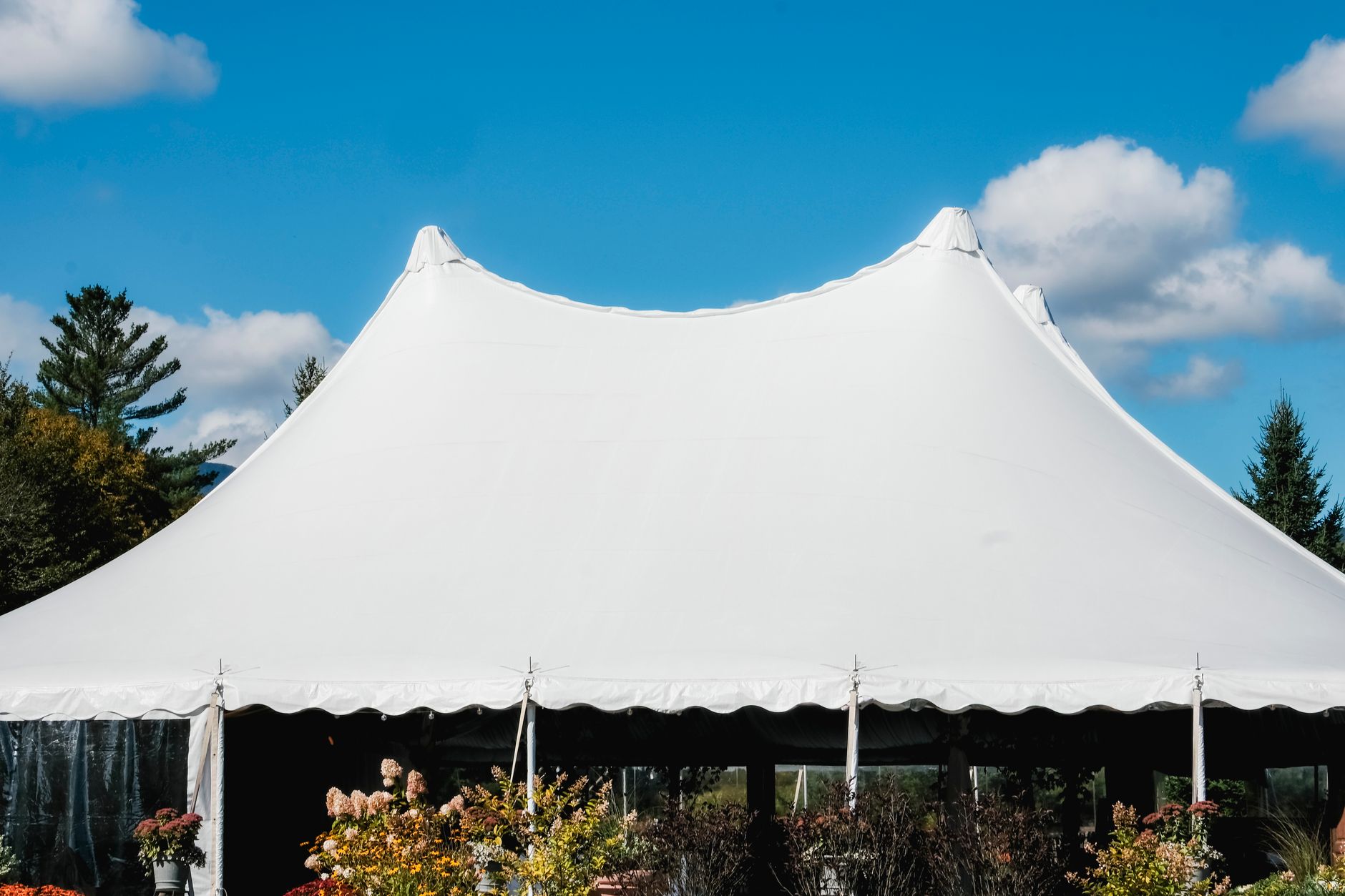 Party Rentals in Odessa