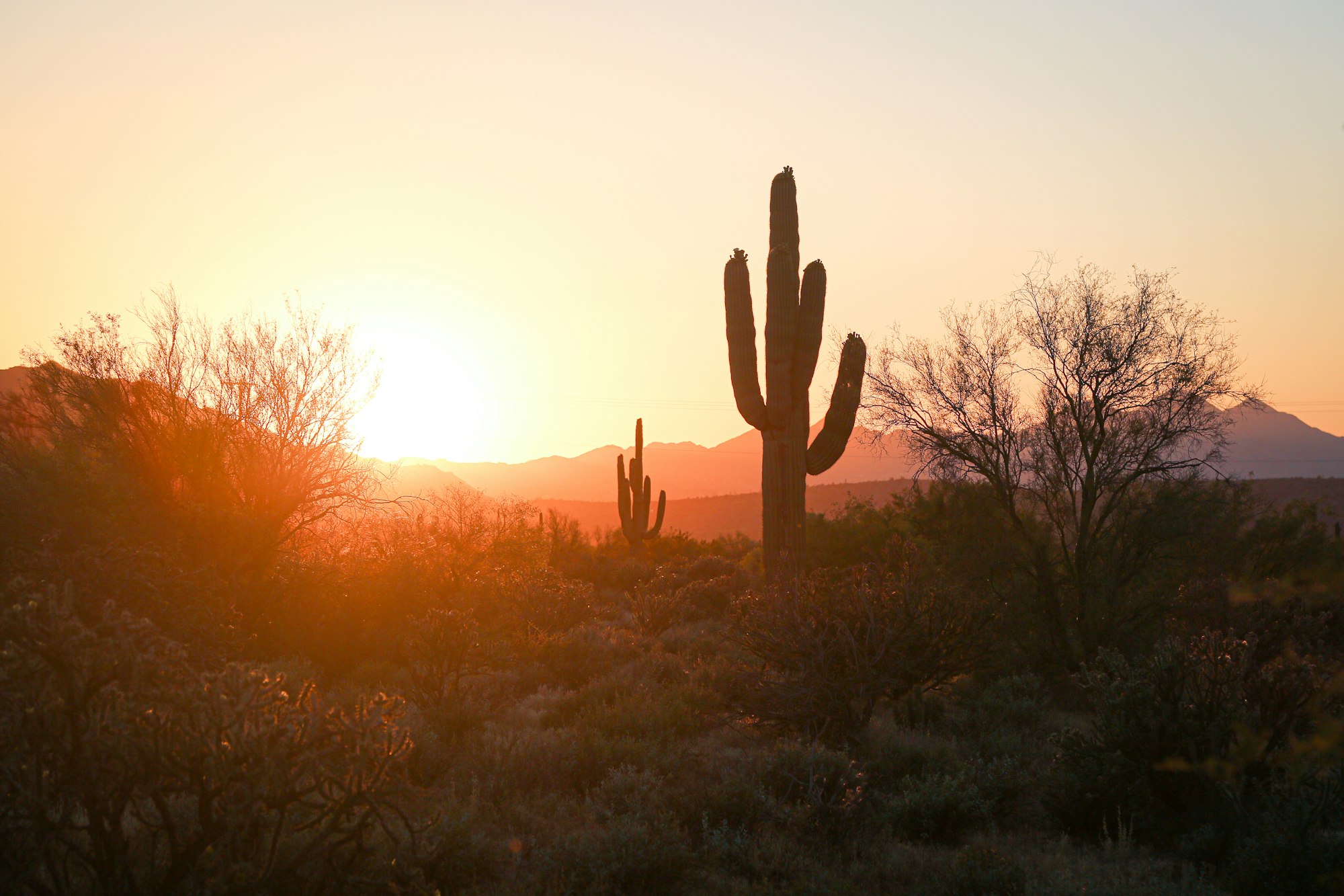 Yuma, Arizona at golden hour